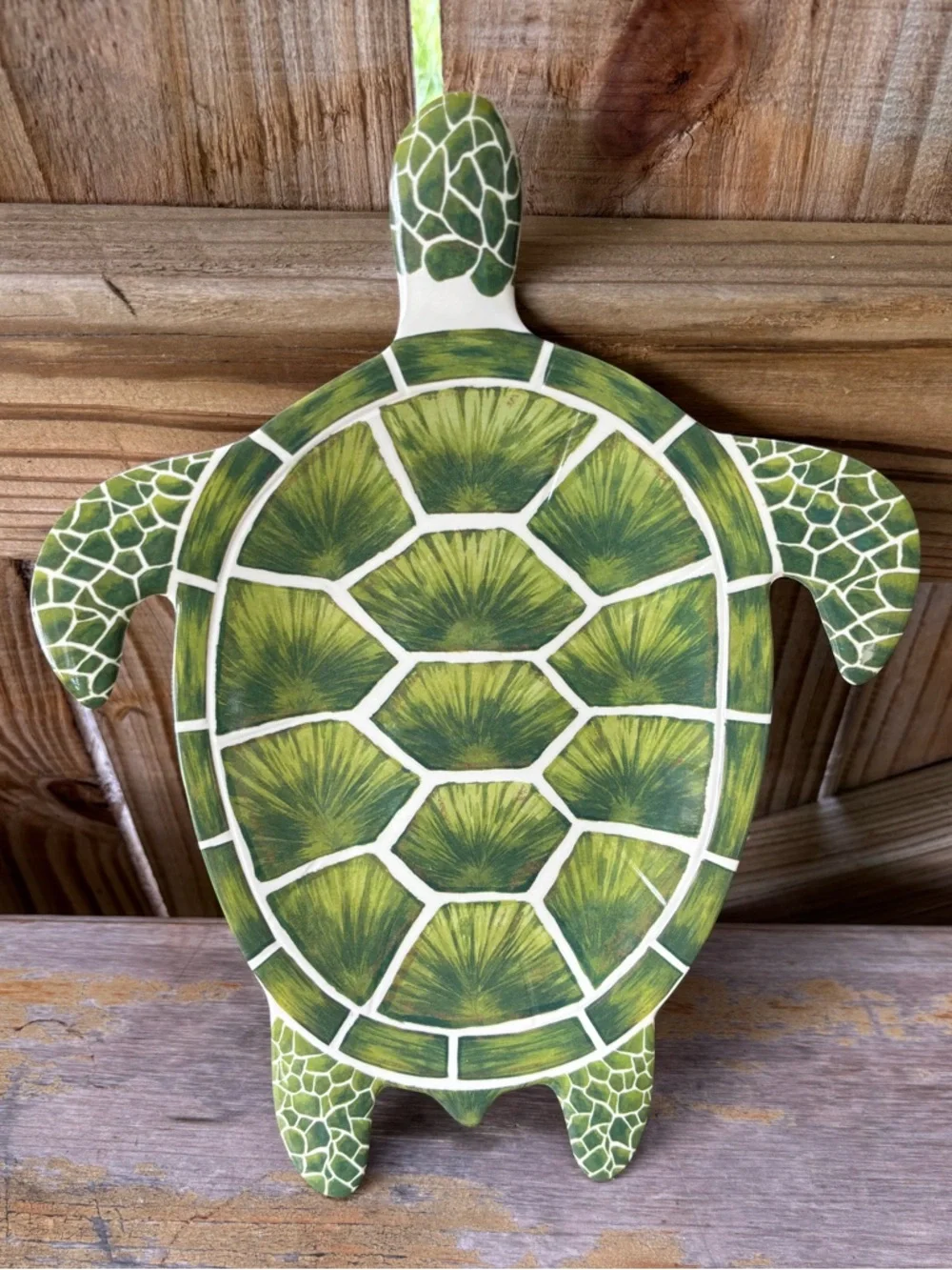 Pier 1 Imports Speedy The Turtle Melamine Snack / Dessert Plate
